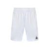 Le Coq Sportif Replica 22 N°2 Shorts Men